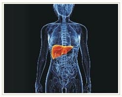 Slider image (7) ADIVA | Stem Cell Therapy Center
